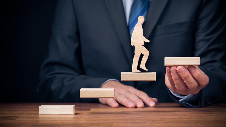 Compare and Contrast